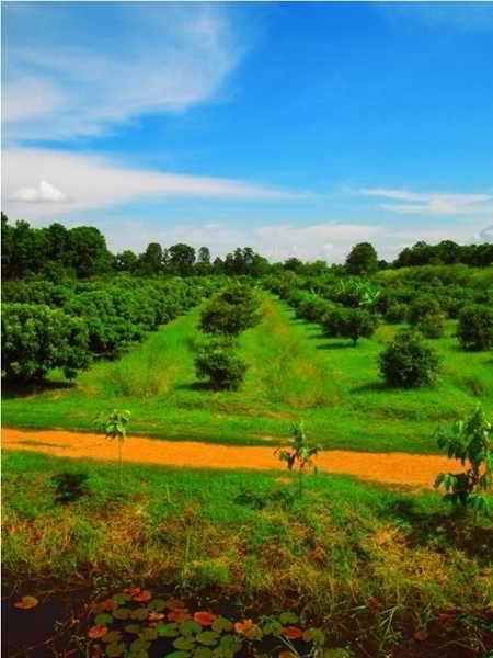 Therdthai Farm Boutique Hotel สุโขทัย ภายนอก รูปภาพ